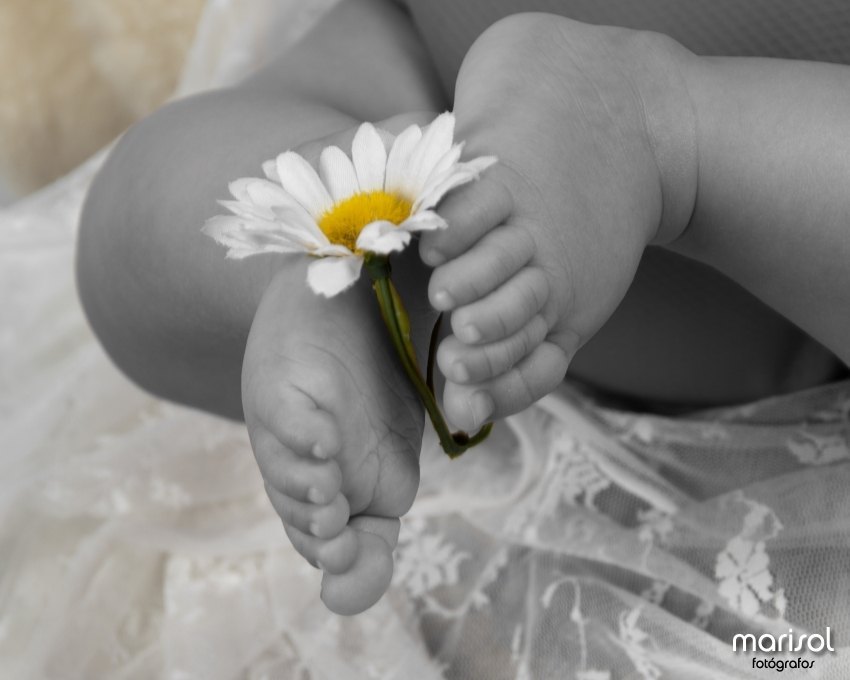 8daed8553a2f5f82c1fd9198adce29627740f53f